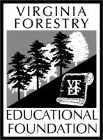 vfef vfef