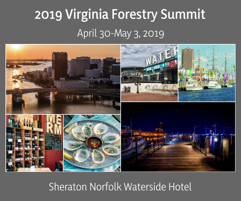 2019 vafs