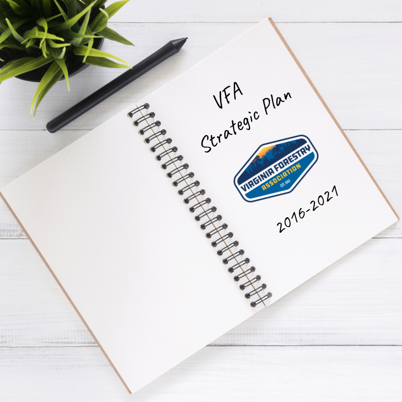 VFA Strategic Plan